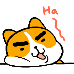 [LINEスタンプ] Cori's happy life