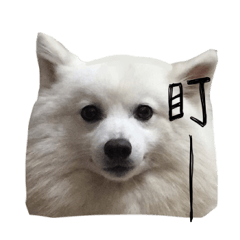 [LINEスタンプ] Mini＆Mico