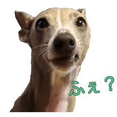 [LINEスタンプ] イタグレ紳士チェレステくんの日常