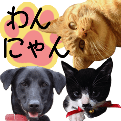 [LINEスタンプ] ワンニャンオールスターズ日常編