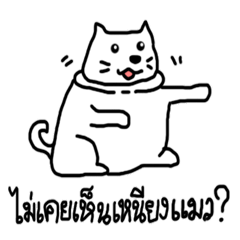 [LINEスタンプ] I'm cat.U know？