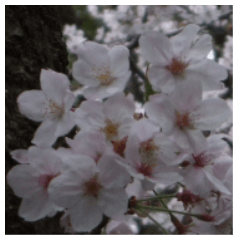 [LINEスタンプ] 桜の写真に春に使えそうな言葉の画像（メイン）