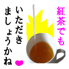 [LINEスタンプ] 【実写】紅茶