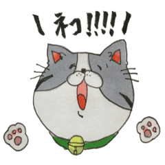 [LINEスタンプ] 【ネコ！！！！】