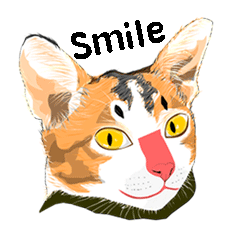 [LINEスタンプ] Cute Orange Cat