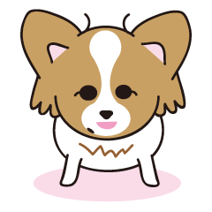 [LINEスタンプ] 看板犬・パピヨンのあかね