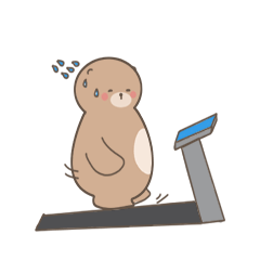 [LINEスタンプ] Sensen Bear