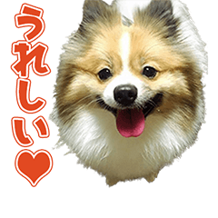 [LINEスタンプ] YA様の愛犬のスタンプ