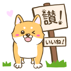 [LINEスタンプ] 【台湾語＆日本語】看板犬の画像（メイン）