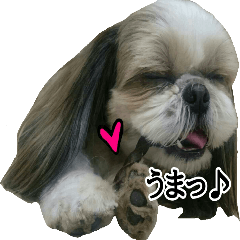 [LINEスタンプ] うちのげんさん2