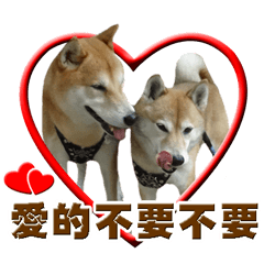 [LINEスタンプ] Shibainu go go go