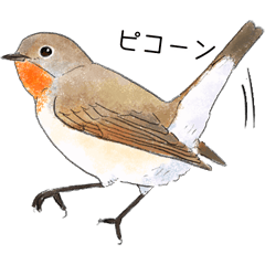 [LINEスタンプ] 日本の野鳥3