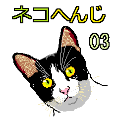 [LINEスタンプ] ネコへんじ 03