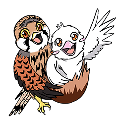 [LINEスタンプ] Raptors of Thailand