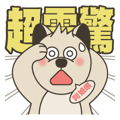 [LINEスタンプ] 柴犬の赤ちゃん
