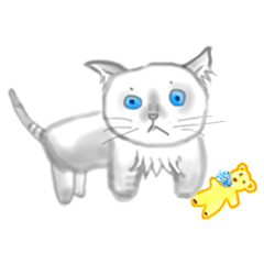 [LINEスタンプ] I'm cat not koala