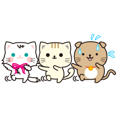 [LINEスタンプ] まぬけな顔をしたネコと愉快な仲間たち