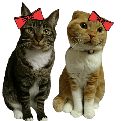 [LINEスタンプ] きなことあんこ2