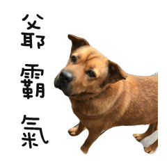 [LINEスタンプ] THU DOG JIMMY