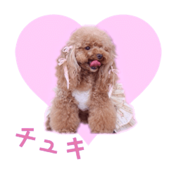 [LINEスタンプ] 心の想いを上手く伝えるスタンプ