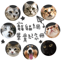 [LINEスタンプ] Pets Meow.