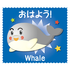 [LINEスタンプ] 海のいきものずかん〈海の生き物図鑑〉