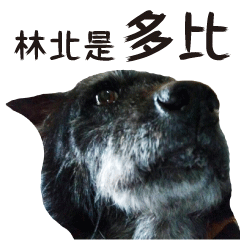 [LINEスタンプ] Handsome Dobby