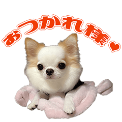 [LINEスタンプ] MS様の愛犬のスタンプ