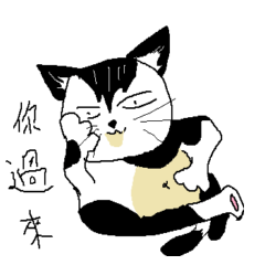 [LINEスタンプ] Sesame cat dating time