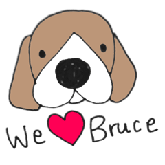 [LINEスタンプ] Bruce the Beagle 2