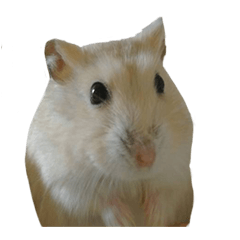 [LINEスタンプ] fat fat
