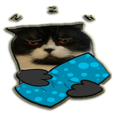 [LINEスタンプ] Pukpik cat