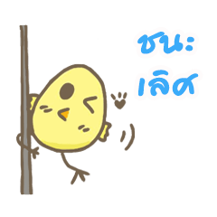 [LINEスタンプ] Nongkai Chickchic