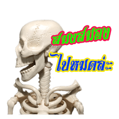 [LINEスタンプ] mini skeleton