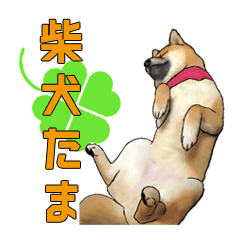 [LINEスタンプ] 柴犬たまと愉快な仲間たち2