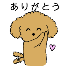 [LINEスタンプ] トイプードルの日常生活スタンプ