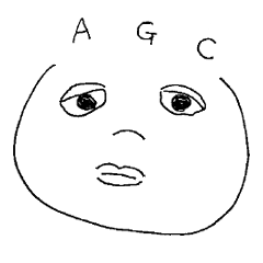 [LINEスタンプ] アクティブわいわいスタンプ