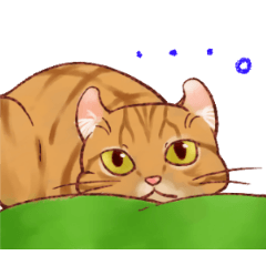 [LINEスタンプ] 関西のにゃんこたち