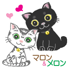 [LINEスタンプ] マロンとメロンの日常(英語編)