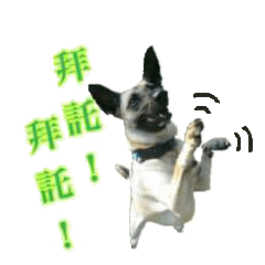[LINEスタンプ] Mix dog Obee's useful stickers