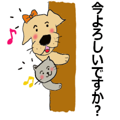[LINEスタンプ] くまこと蘭と仲間たちの犬猫スタンプⅢの画像（メイン）