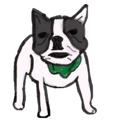 [LINEスタンプ] アニマル画でご挨拶