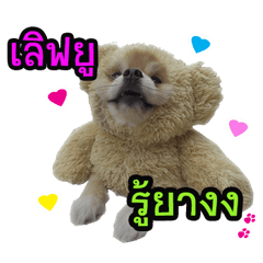[LINEスタンプ] Pecky ＆ Teenoi