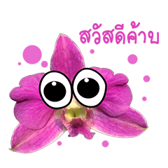 [LINEスタンプ] orchids thaiの画像（メイン）