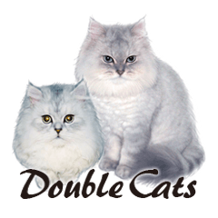 [LINEスタンプ] Double Cats 1の画像（メイン）
