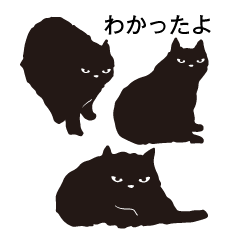 [LINEスタンプ] 黒ネコは時々