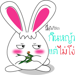 [LINEスタンプ] Am rabbit