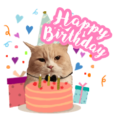 [LINEスタンプ] My Sassy Cats