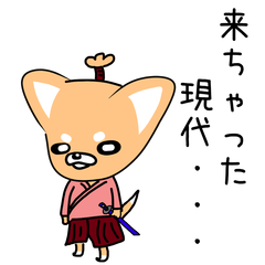 [LINEスタンプ] タイムスリップ『さむらいぬ』