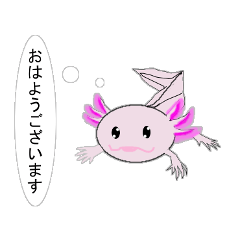 [LINEスタンプ] 年中使えるウーパールーパーさん(敬語)